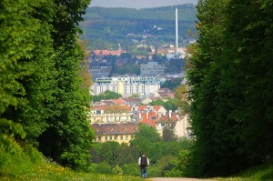 Abbildung 2: In Österreich überwiegen die Mietwohnungen