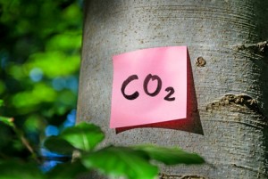CO2-Bilanz Klimabilanz Ökologischer Fußabdruck